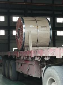 ASTM 420 Hot Rolled Galvanized N4/2b/Ba Stainless Steel Coil for Building and Chemical Industry