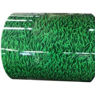 Dx51d SGCC Prepainted PPGI Steel Coil Material Galvanized Color Coated Steel Sheet Coil