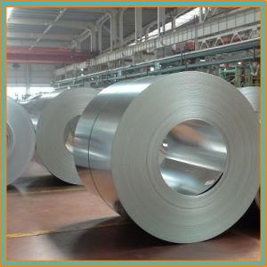 Customized Building Material 304 Stainless Steel Coil