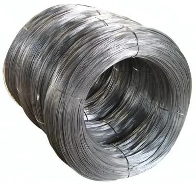 Q195 Materials 2.0mm Diameter Electro Galvanized Steel Wire Stainless Steel