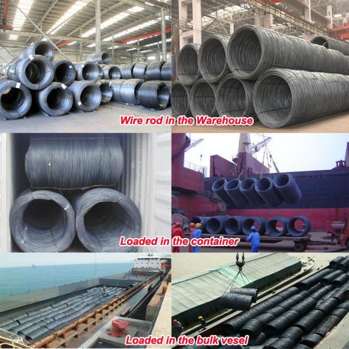 Diameter 5.5mm to 16mm Low Carbon Steel Wire Rod