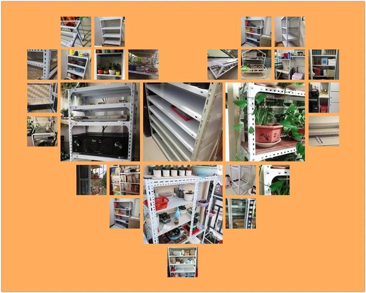 Free Sample Preforated Steel Slotted Angle Bar Shelving