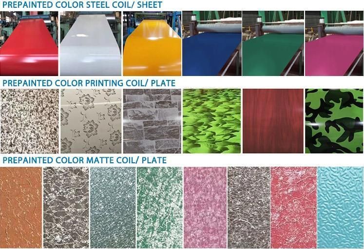 PPGI/HDG/Gi/Secc Dx51 Zinc Coated Cold Rolled Coil/Hot Dipped Galvanized Steel Coil