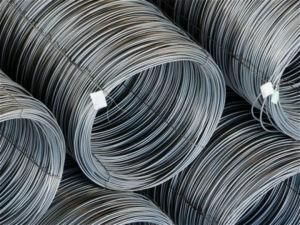 A36 Mild Carbon Hot Rolled Steel Wire Rod in Coils 6.5mm