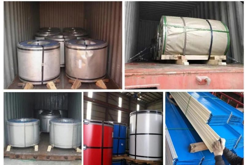 Prepainted/Color Coated/Galvanized/Zinc Coated/Galvalume/Corrugated/Aluminum/Carbon /304/316L/430/201/Stainless/Steel Coil/Strip/PPGL/PPGI/Gl/Al/Gi/Coil