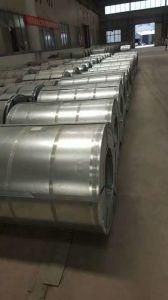 Hot-Dipped Galvanized Steel in Coils