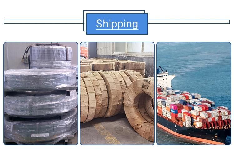 Galvanized Steel Coil Price and Zinc Coated Galvanized Steel Strip/Coil Factory Direct Gi Steel Coil