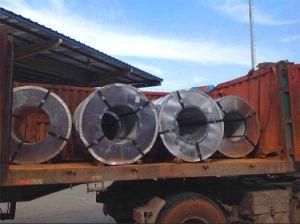 Galvanised Steel Coils Big Flower Shandong Factory