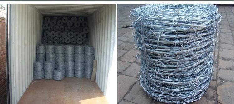 Protective Stainless Steel Barbed Wire Galvanized Steel Barbed Wire for Border/ Airport