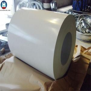 Ral 9002/9003 PPGI Steel Sheet From Shandong Manufacturer