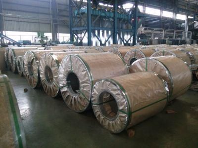SPCC Cold Rolled Mild Steel Plate Coil