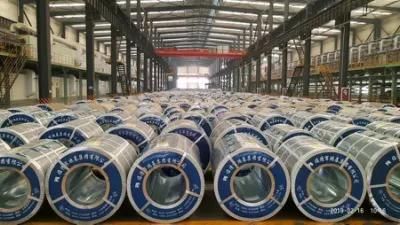 SPCC Cold Rolled Black Annealed Steel Coil