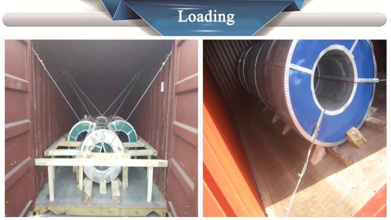 SPCC Mr T3 T4 Tinplate Coil/Electrolytic Tinplate Coil