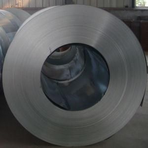 Galvanized Steel Coil Gi PPGI Shandong Factory