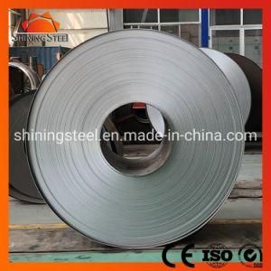 Fast Shipping Galvanized Steel Coil for Building Materials