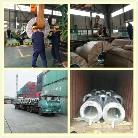 Hot Dipped Galvanized Steel Coils Z40 Z80 Z120 SGCC Dx51 D+Z Carbon Steel Gi Coi