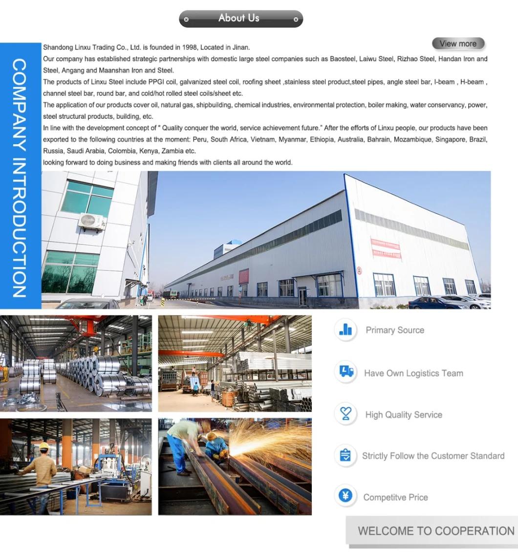 Prime Ral Color New Prepainted Galvanized Steel Coil, PPGI / PPGL / Hdgl / Hdgi, Roll Coil and Sheets