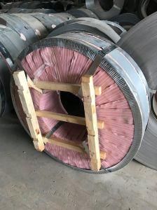 10-710mm Width Galvanized Steel Slit Coil Professional Manufacture