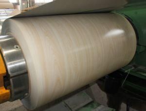 High Quality Prime PPGI Prepainted Galvanized Steel Coil in China
