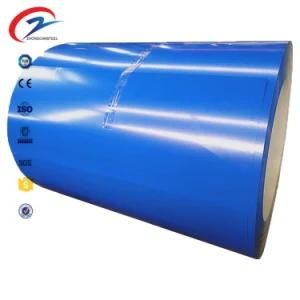 Prepainted Galvalume Steel Sheet/Colour Coated Steel Coil/Wrinkle PPGL