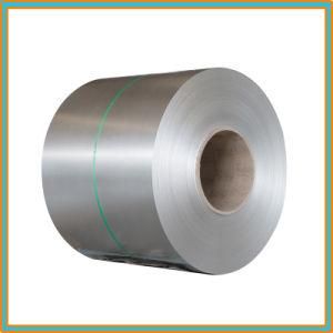 Hot Selling Building Material 304 Stainless Steel Coil