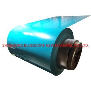 Galvanised Steel Coil Color Coated Steel Coil PPGI/PPGL Pre-Painted Galvanized Steel Coils/Strip/Sheet for Garage Doors