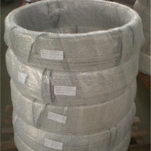 ASTM 304L316 316L 2205 2507 825 625 Seamless Stainless Steel Coil Tubes Manufacutrer