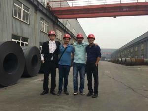 Sandblasted ABS/ASTM/API/En10025/Rina/GB Bridge/Ship Building Materical Steel Plate