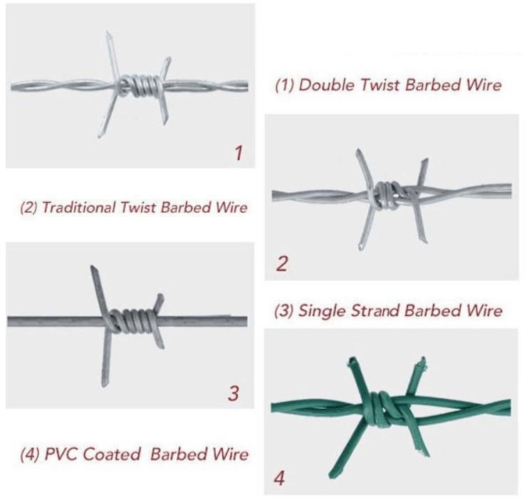 Protective Stainless Steel Barbed Wire Galvanized Steel Barbed Wire for Border/ Airport