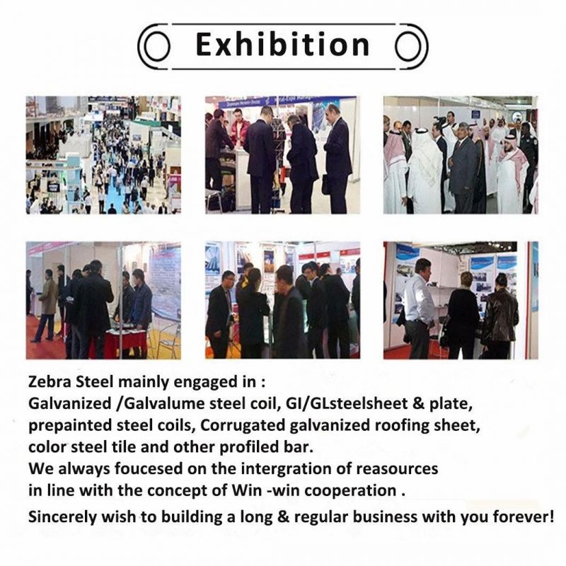 Z275 Hot Dipped Galvanized Steel Metal Roll 0.7mm 0.8mm 0.9mm 1.0mm 1.2mm Zinc Coated Steel Strip 2mm Galvanized Steel Coil Sheet