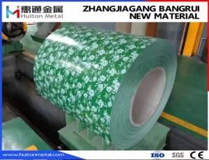 Printed PPGI /Flower Grained Colorful Prepainted Galvanized Steel Coil