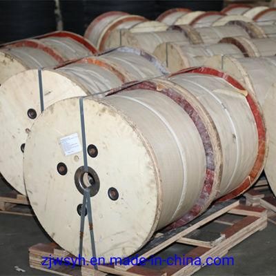 High Carbon Steel Wire for Spring Washer