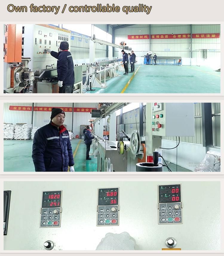 Stainless Steel Cable and Coated Wire Rop PVC and Nylon Coated Wire Cable