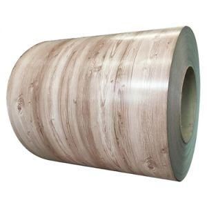 Colorful Design Steel Coil Pattern PPGI for Building