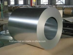 Hot DIP Galvanized Steel Sheet in Coils