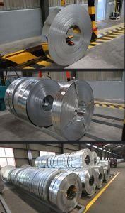 Hot Dipped Galvanized Steel Strip (GT00701)