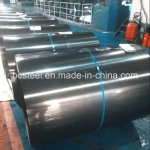 Prime Cold Rolled Black Annealed Steel in Coils