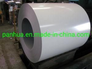 Prepainted Steel Coil at Factory Made in China