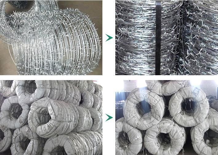Lowest Price Hot Dipped Galvanized Barbed Wire 14 Gauge Barbed Wire