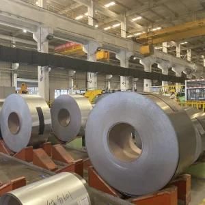 Prepainted Galvanized Coil/PPGI/Color Coated Steel