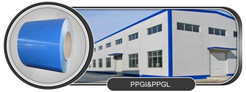 Dx51d Z40 PPGI PPGL Steel Coil