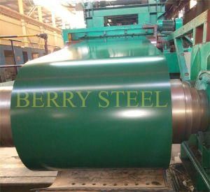 Export PPGI Steel in Coils, PPGI Steel Sheet Factory