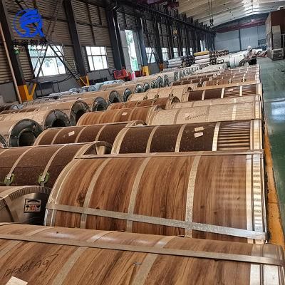 Color Coated Steel Coil