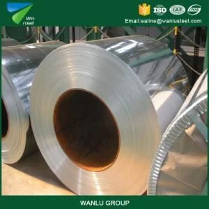 Hdgi Zinc Coated Hot Dipped Galvanized Steel Coil Sheet or Steel Plate for Gi