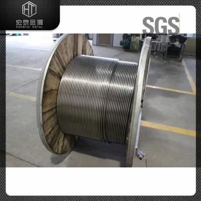 Hot Selling Customized Stainless Steel 304/316 Coil Tube