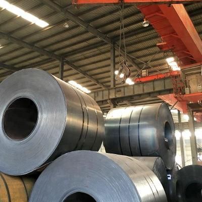 Prime Ss400, Q235, Q345 Black Steel Galvanized Steel Coil Carbon Steel Coil in Stock