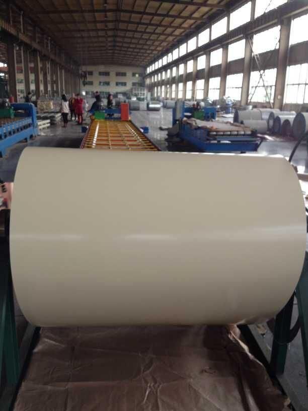 Painted Steel Coil/Prepainted Galvanized Steel Coil