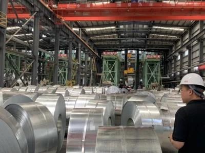 Zinc Sheet Hot Dipped Galvanized Steel Coil for Roof Tile