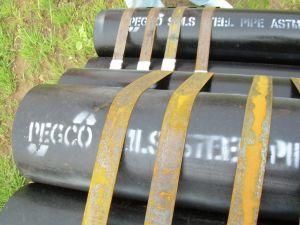 Seamless Steel Pipe Hot DIP Galvanized Pipe