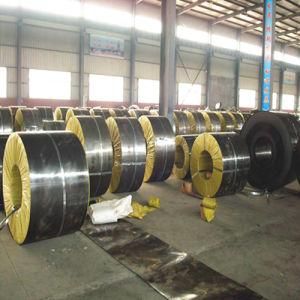 Wholesale 1.5mm High Carbon Steel Strip SAE1045 for Spare Parts